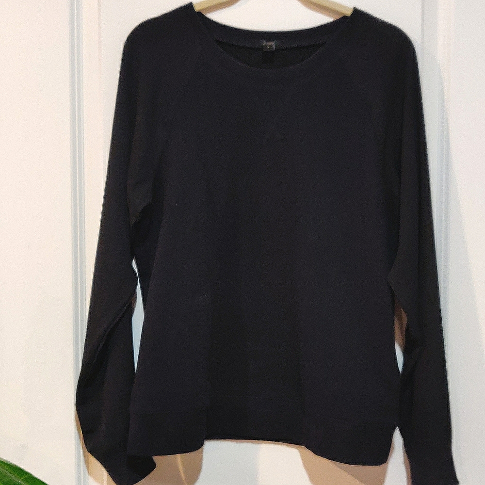 JCrew Sweatshirt w/ Sheer Sleeves